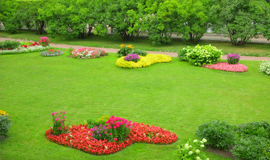 White Horse Roofing - Roofing Project